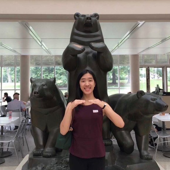 Loft Plum Colored Peplum Blouse - Picture 8 of 8